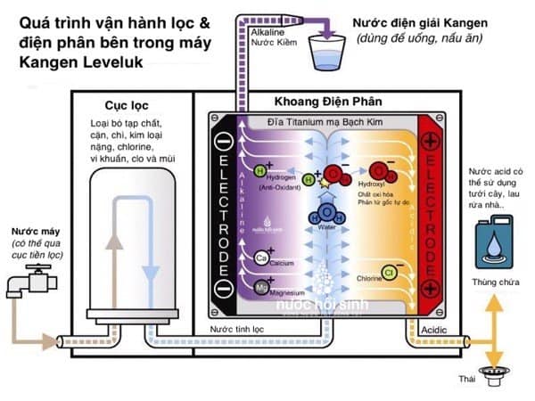 Công nghệ sản xuất nước ion kiềm của máy lọc điện giải Kangen | Máy Lọc Nước  Ion Kiềm